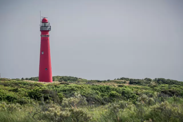 Der Noordertoren auf Schiermonnikoog, ein Leuchtturm aus dem 19. Jahrhundert, wacht über die grüne Insellandschaft.