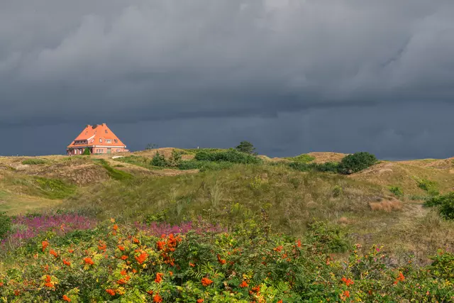 Eine sanfte Hügellandschaft mit bunten Blumen im Vordergrund und einem orangefarbenen Haus vor einem dramatisch bewölkten Himmel.